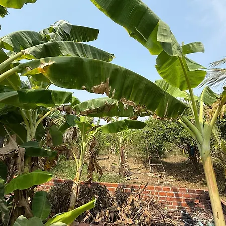 Family Bambootrain Homestay Battambang Room photo