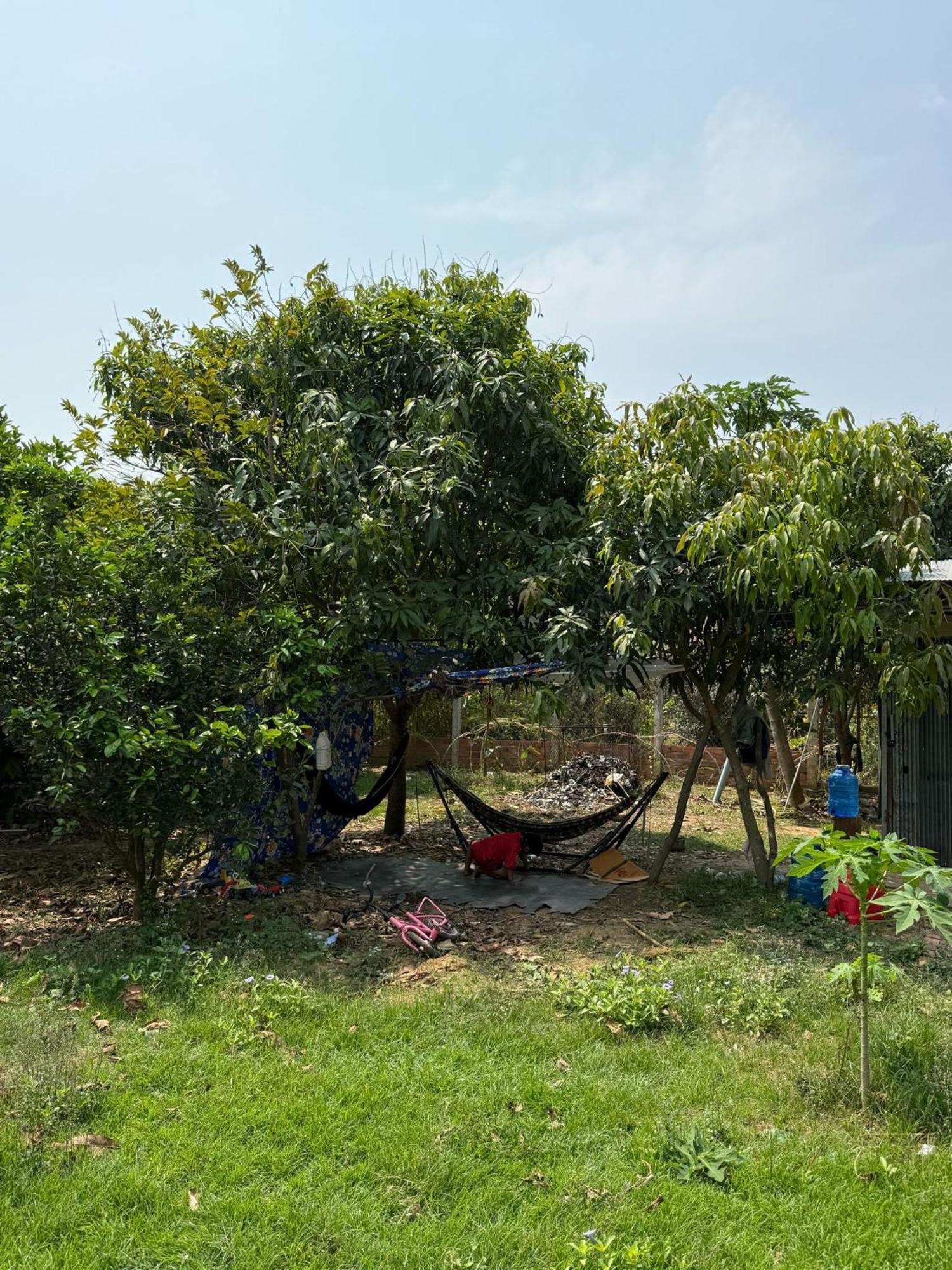 Family Bambootrain Country house Battambang
